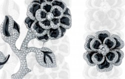 4 Camélia Onyx Diamants 250x159 Chanel's Iconic Camellia Jewelry and Diamond Ladies Watch